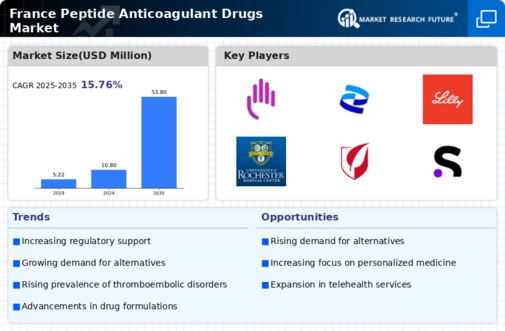 France Peptide Anticoagulant Drugs Market Research Report - Forecast to 2035 Infographic