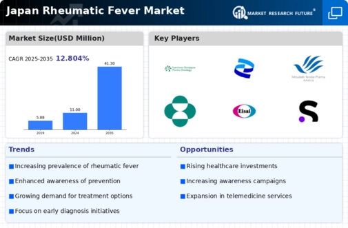 Japan Rheumatic Fever Market Research Report- Forecast to 2035 Infographic