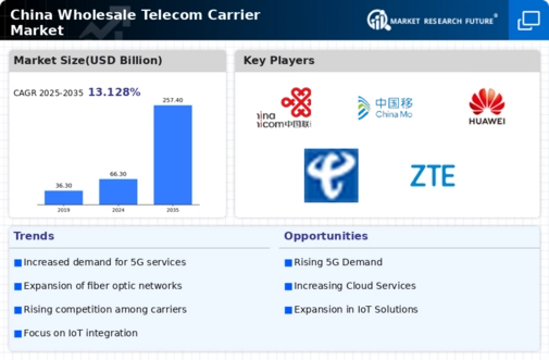 China Wholesale Telecom Carrier Market Research Report-Forecast to 2035 Infographic