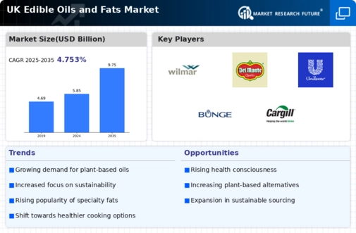 UK Edible Oils Fats Market Research Report - Forecast to 2035 Infographic