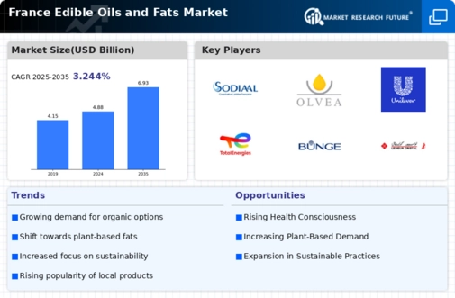 France Edible Oils Fats Market Research Report - Forecast to 2035 Infographic