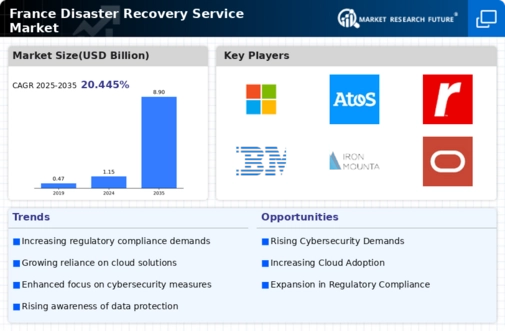 France Disaster Recovery Service Market Research Report- Forecast to 2035 Infographic