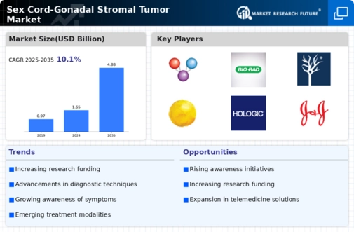 Sex Cord-Gonadal Stromal Tumor Market Research Report – Forecast to 2032 Infographic