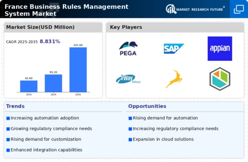 France Business Rules Management System Market Infographic