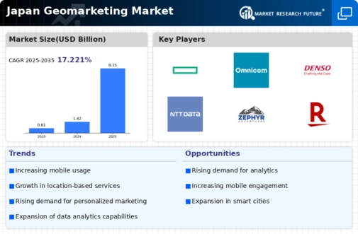 Japan Geomarketing Market Infographic