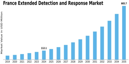 Market Size