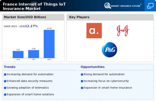 France Internet of Things IOT Insurance Market Research Report - Forecast till 2035 Infographic