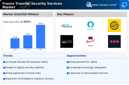 France Traveler Security Services Market Infographic
