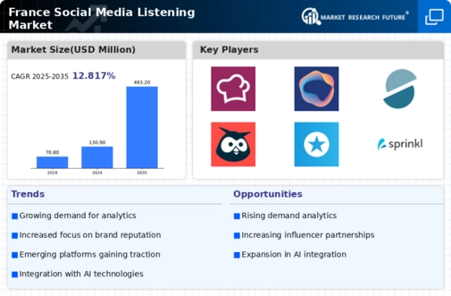 France Social Media Listening Market Research Report-Forecast to 2035 Infographic
