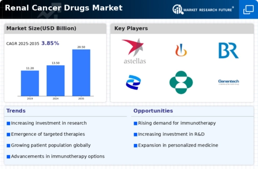 Renal Cancer Drugs Market Research Report – Forecast to 2035 Infographic