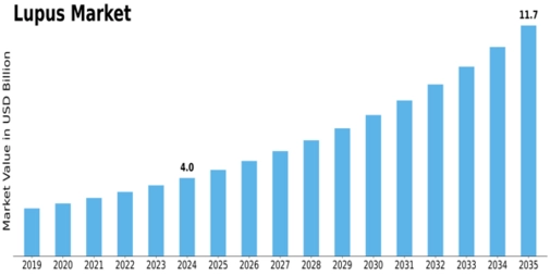 Market Size