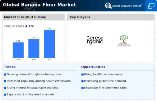Banana Flour Market Research Report - Forecast till 2032 Infographic
