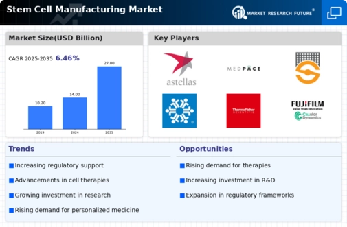 Stem Cell Manufacturing Market Research Report - Forecast to 2035 Infographic