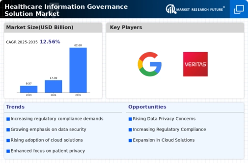 Healthcare Information Governance Solution (IGS) Market Research Report - Forecast to 2032 Infographic