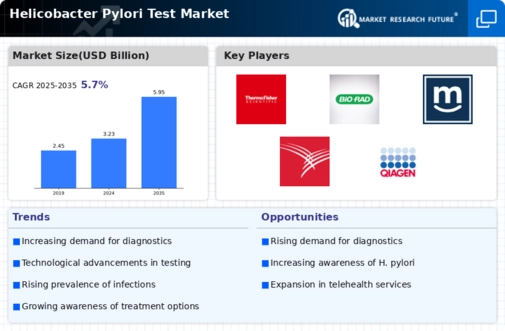 Helicobacter Pylori (H. Pylori) Test Market Research Report - Forecast till 2034 Infographic
