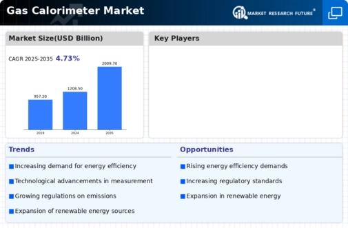 Gas Calorimeter Market Infographic