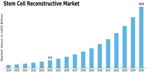 Market Size